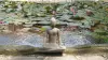 Product image 1 of the product “Sitting woman in yoga position - lotus position, 30cm high. Cast stone, handcrafted & colored 30 cm”