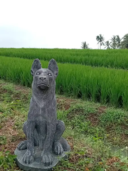 Product image 1 of the product “Seated shepard dog, 65cm Height - cast stone. ”