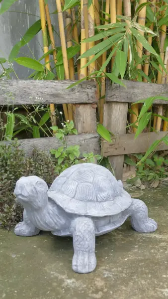 Product image 1 of the product “Shelby - Small Turtle, 48.5 cm L | cast stone ”