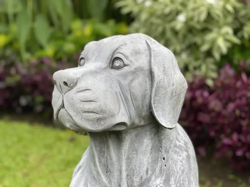 Product image 4 of the product “Henry - Dog, sitting 66cm H | cast stone ”