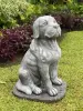  Product image 1 of the product “Henry - Dog, sitting 66cm H | cast stone ”