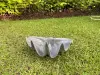  Product image 1 of the product “Marina - Sea shells, 41cm L | cast stone ”