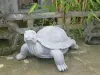 Product image 1 of the product “Winston - Big Turtle, 85 cm Length | cast stone ”