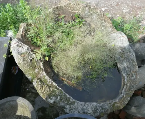 Product image of the product “The Iceland Pot is made of limestone, it comes from coast of Indonesia. It is about 140cm height and 51cm depth. ”