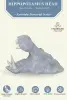  Product image 2 of the product “Zuberi - Hippopotamus head with open mouth, 50cm L | cast stone ”