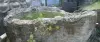 Product image 2 of the product “The Iceland Pot is made of limestone, it comes from coast of Indonesia. It is about 240cm length and 50cm depth. ”