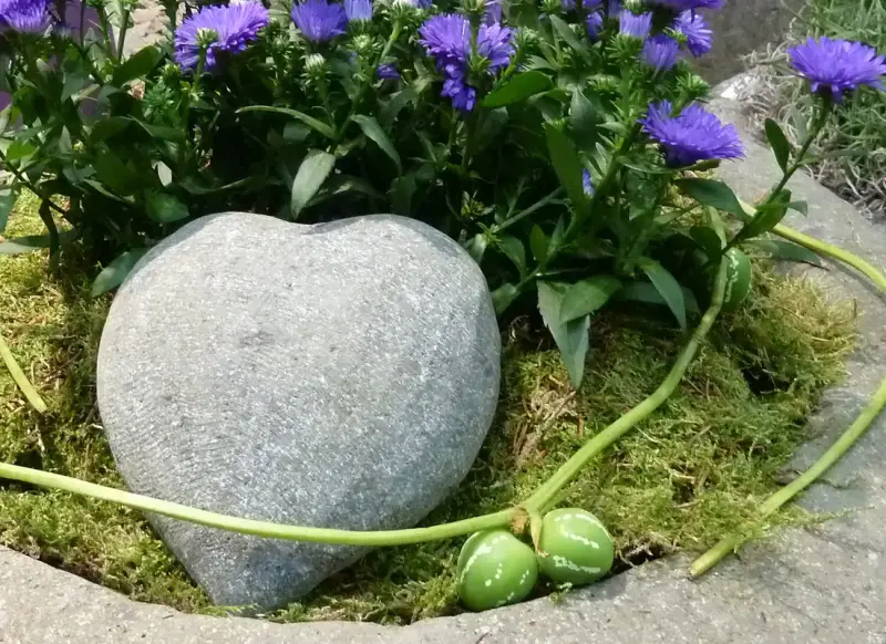 Product image of the product “Decoration Heart, nature Stone Basalt. The height is 25 cm. 25 cm”