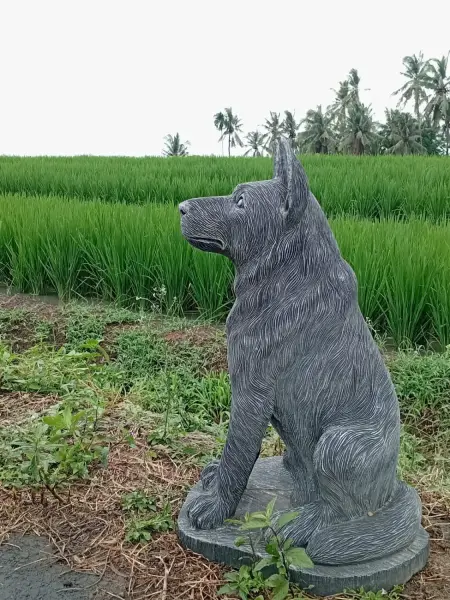 Product image of the product “Seated shepard dog, 65cm Height - cast stone. ”