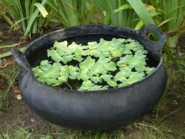 Product image of the product “Water bowl from recyled tire with handle. Vulcanized inside. Dia. 60cm Height 25 / 30cm. ”