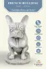  Product image 4 of the product “Sunny - French bulldog, 33.5cm H | cast stone ”