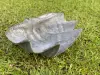  Product image 4 of the product “Marina - Sea shells, 41cm L | cast stone ”