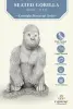  Product image 5 of the product “Barney - Gorilla seated on a base, 43 cm H | cast stone ”