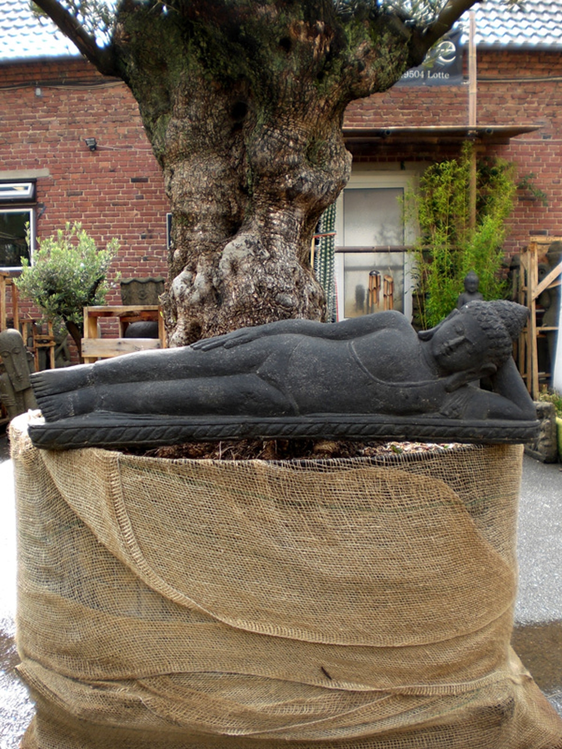  Product image 1 of the product “Lying Buddha, 75cm wide, antique finish ”