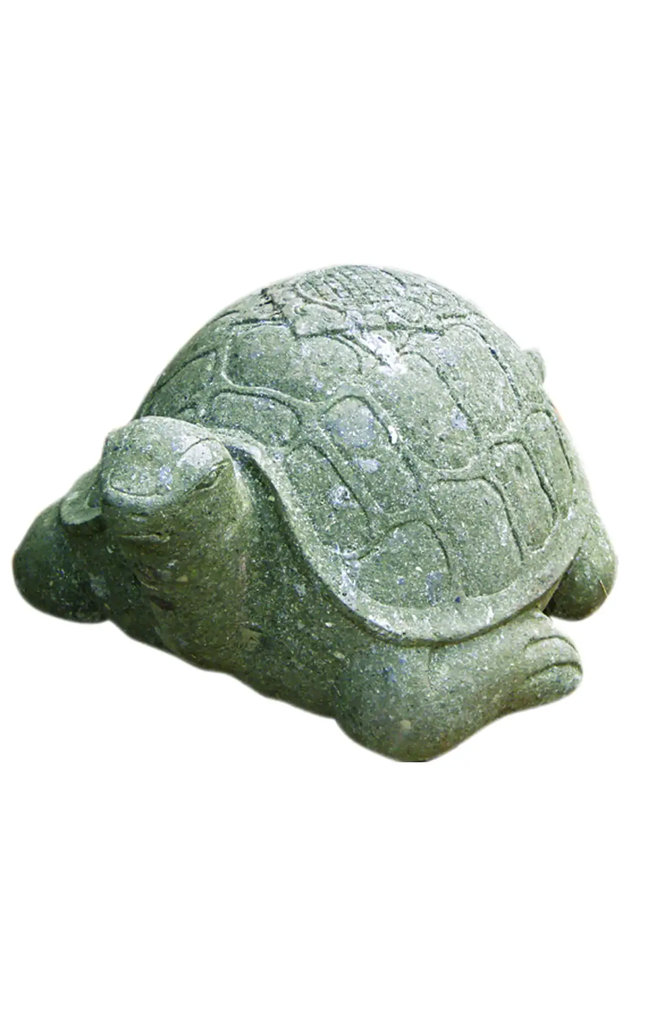  Product image 1 of the product “Turtle, ca 45cm long, natural finish ”