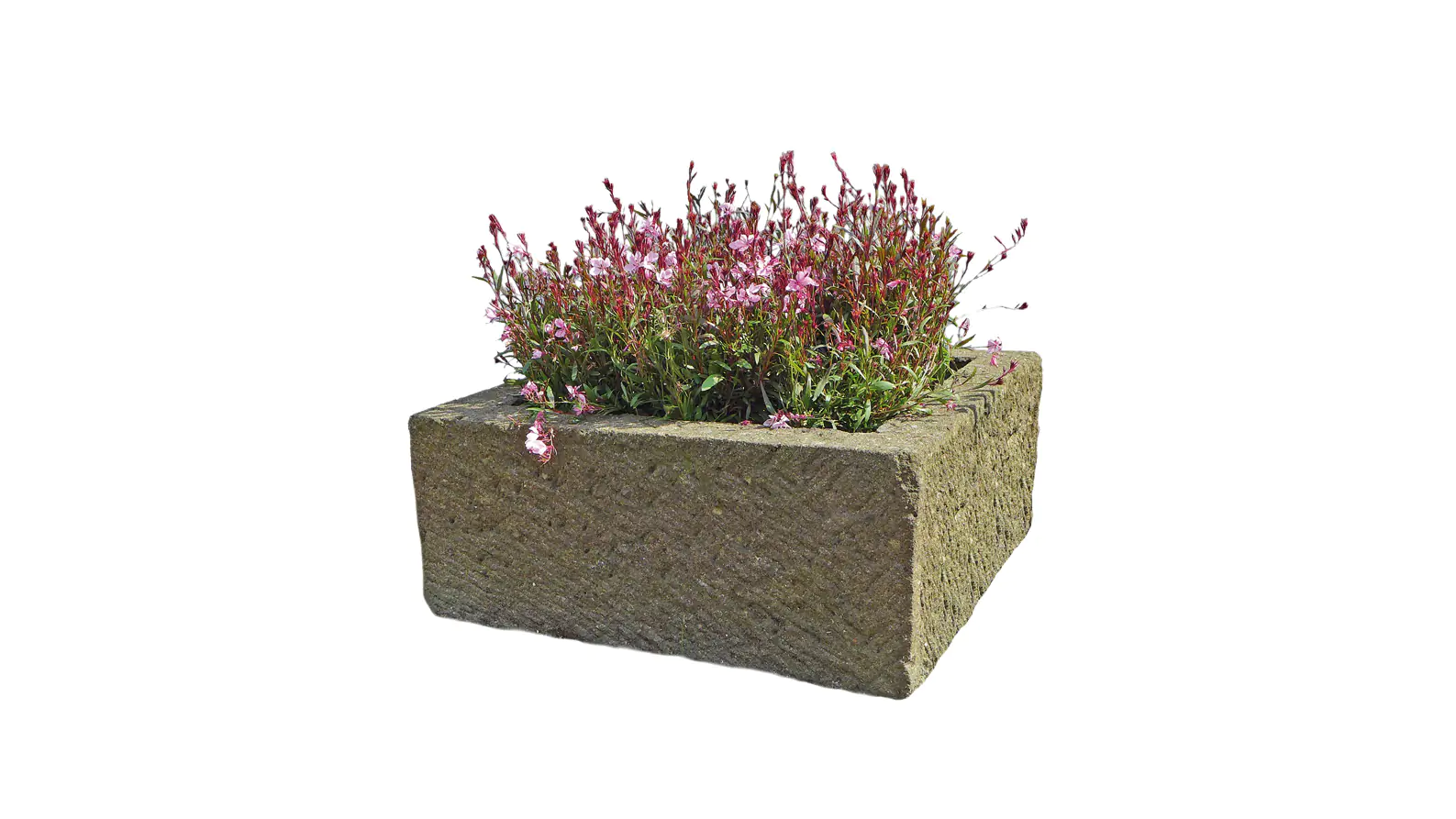  Product image 1 of the product “Trough, rectangular, bossed outer surface, 60x30x30 cm natural stone (Basanit), ”