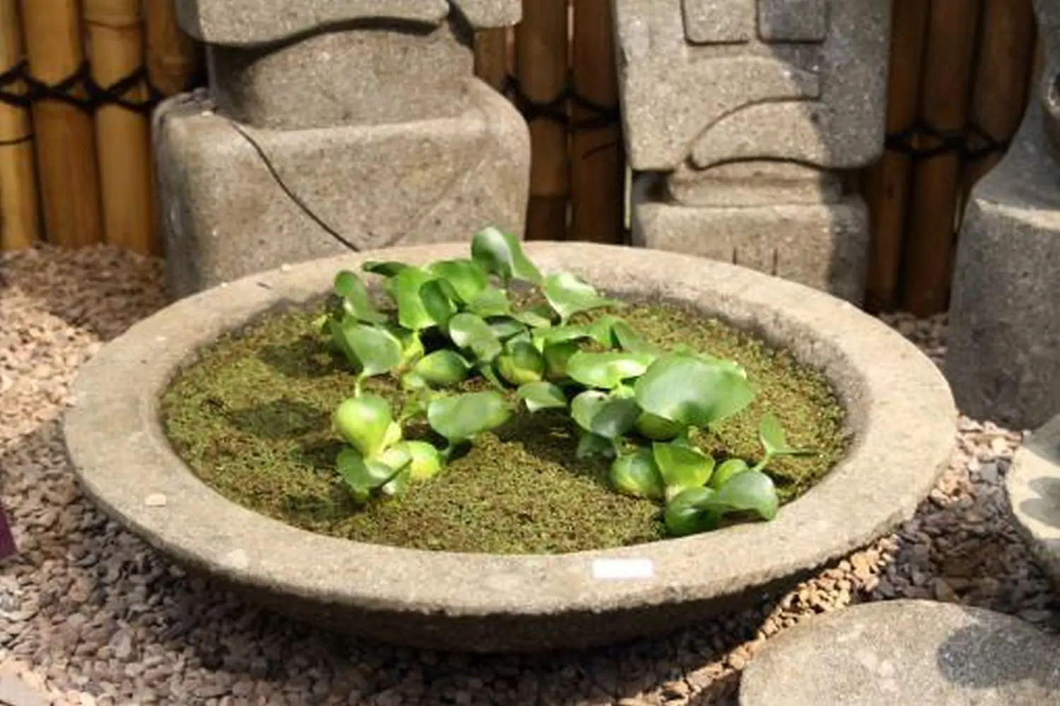  Product image 1 of the product “Bowl model „Lotus“, bossed outer surface, 30x30x 9cm Natural stone (Basanit), ”