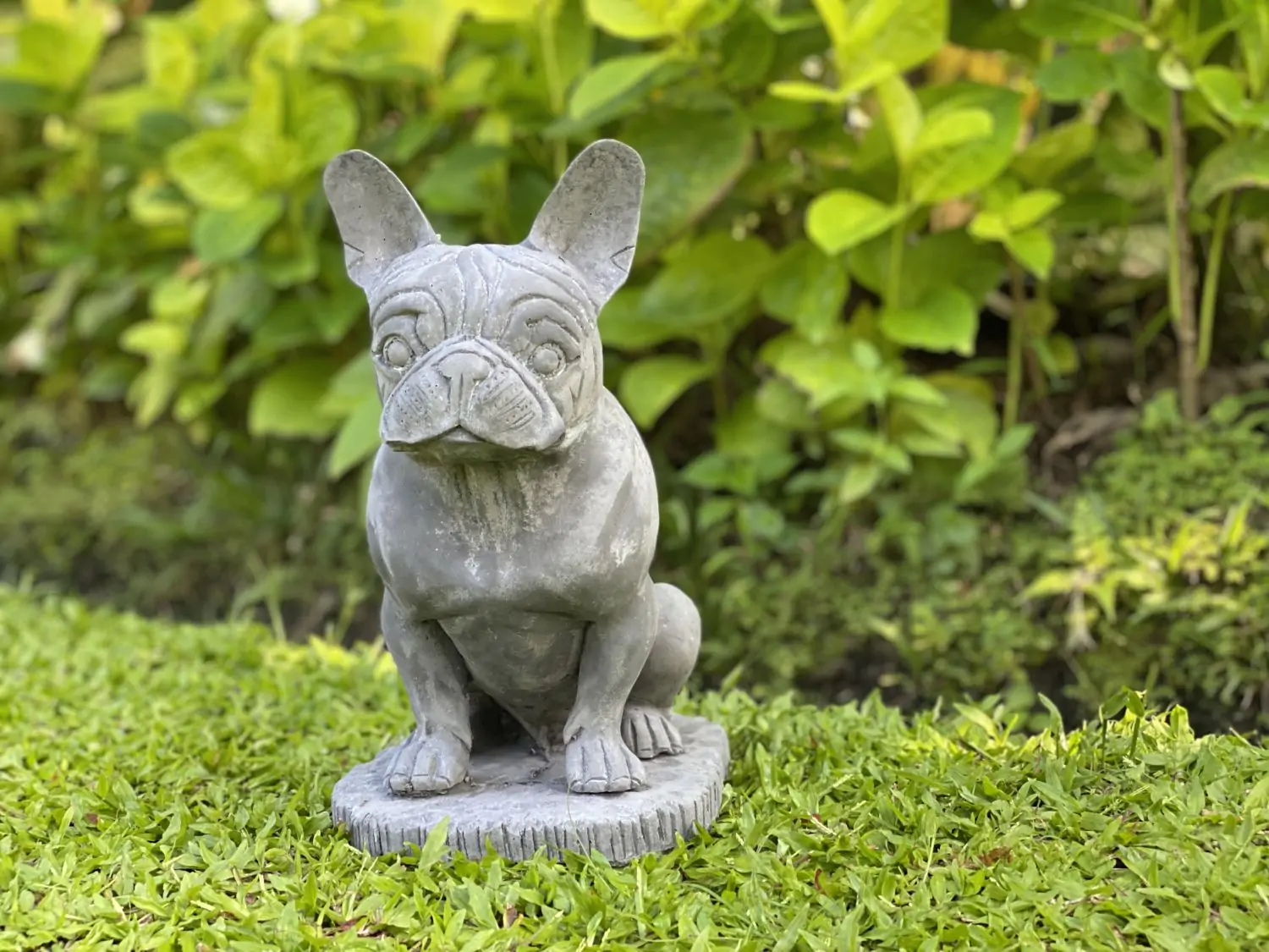  Product image 1 of the product “Sunny - French bulldog, 33.5cm H | cast stone ”