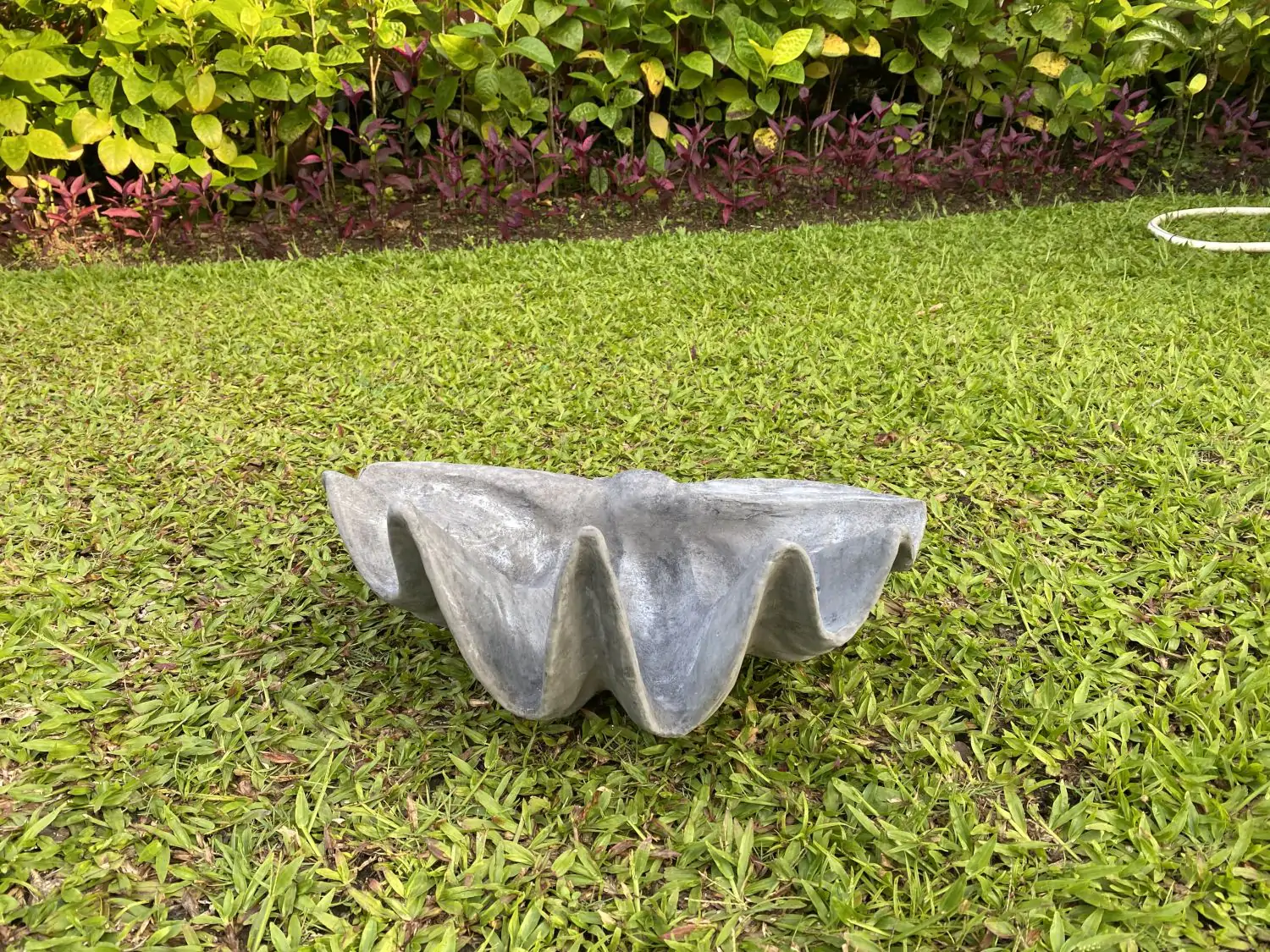  Product image 1 of the product “Marina - Sea shells, 41cm L | cast stone ”
