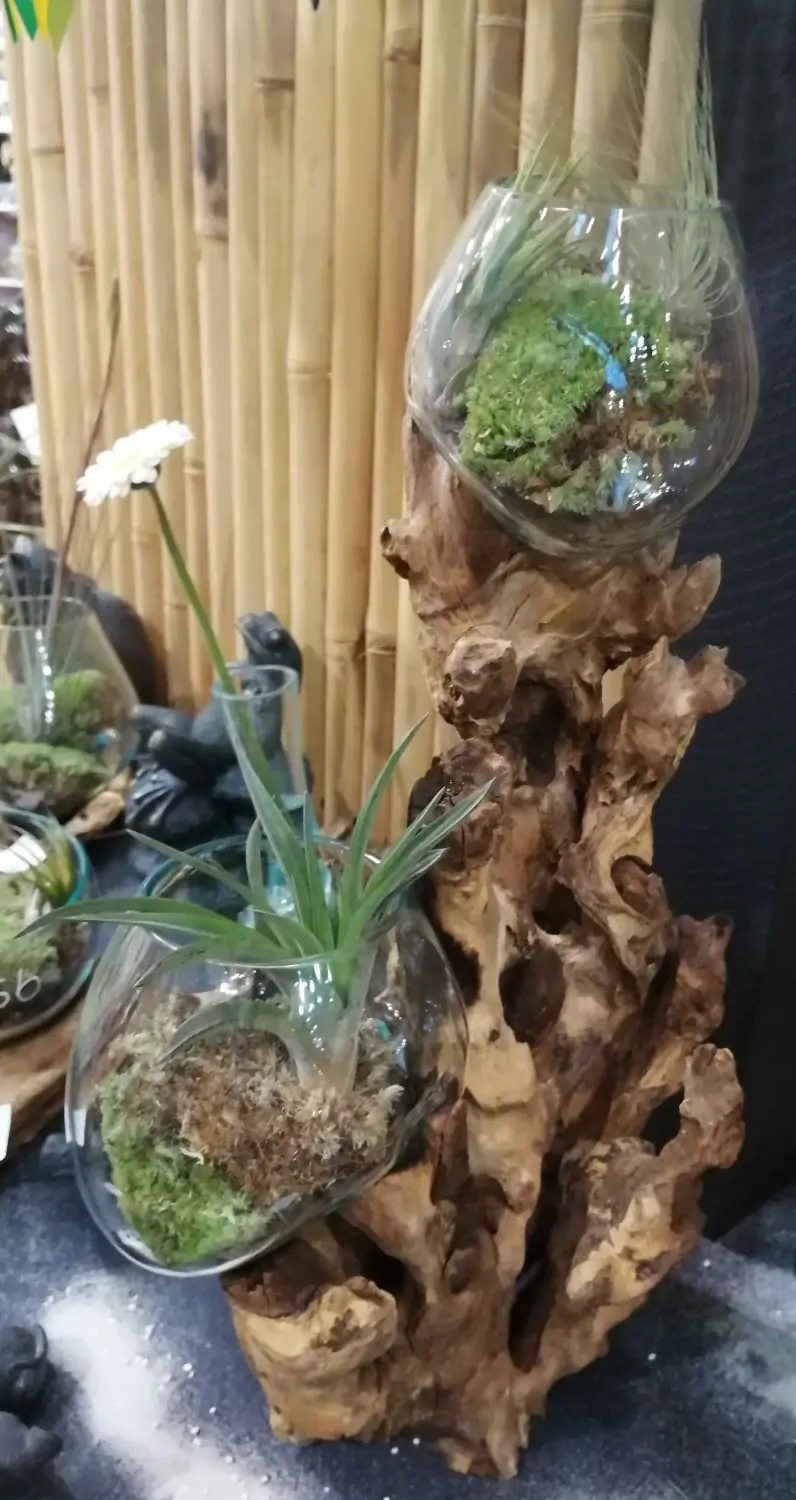 Product image 1 of the product “Driftwood with 2 glasses 12 and 15cm. The 15cm Glass is on the bottom and the 12 cm on top of the wood. ”