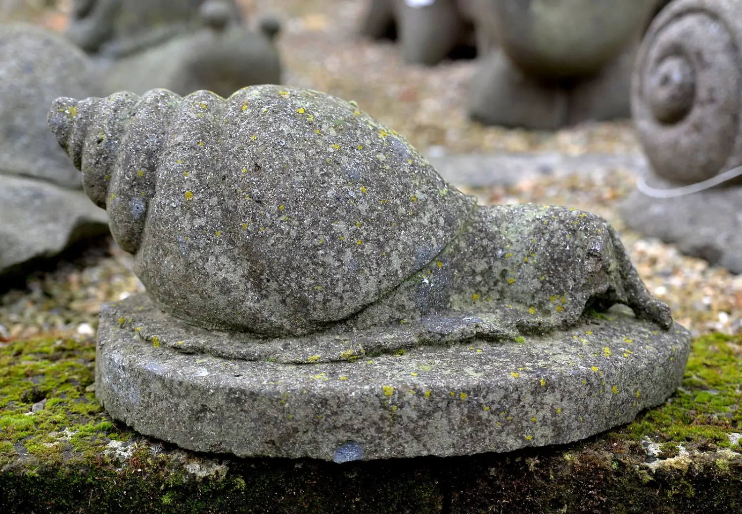  Product image 2 of the product “Lying snail on pedestal ”