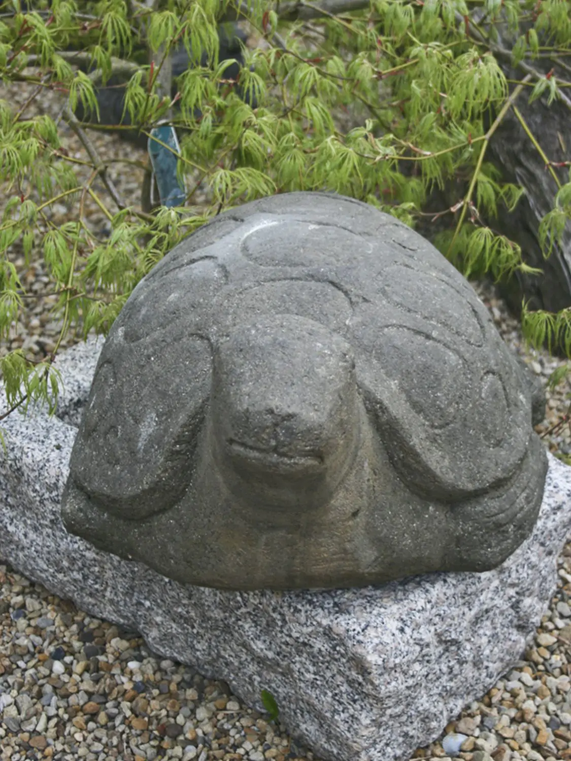  Product image 3 of the product “Turtle, ca  60cm long, antique finish ”
