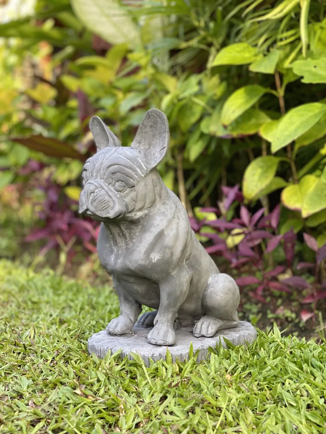  Product image 3 of the product “Sunny - French bulldog, 33.5cm H | cast stone ”