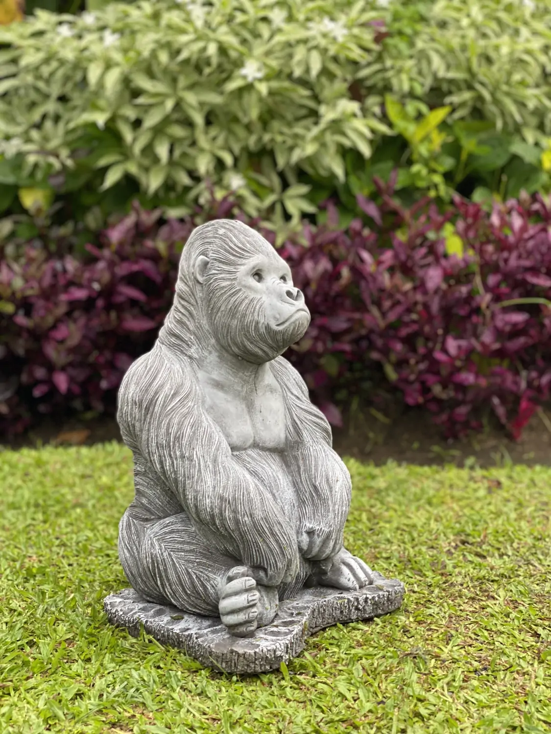  Product image 3 of the product “Barney - Gorilla seated on a base, 43 cm H | cast stone ”
