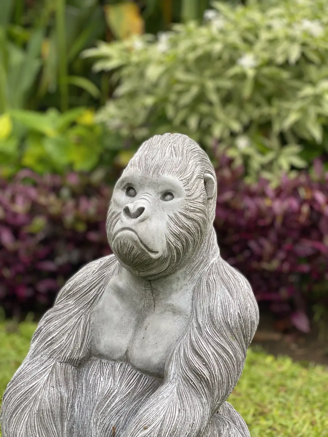  Product image 4 of the product “Barney - Gorilla seated on a base, 43 cm H | cast stone ”