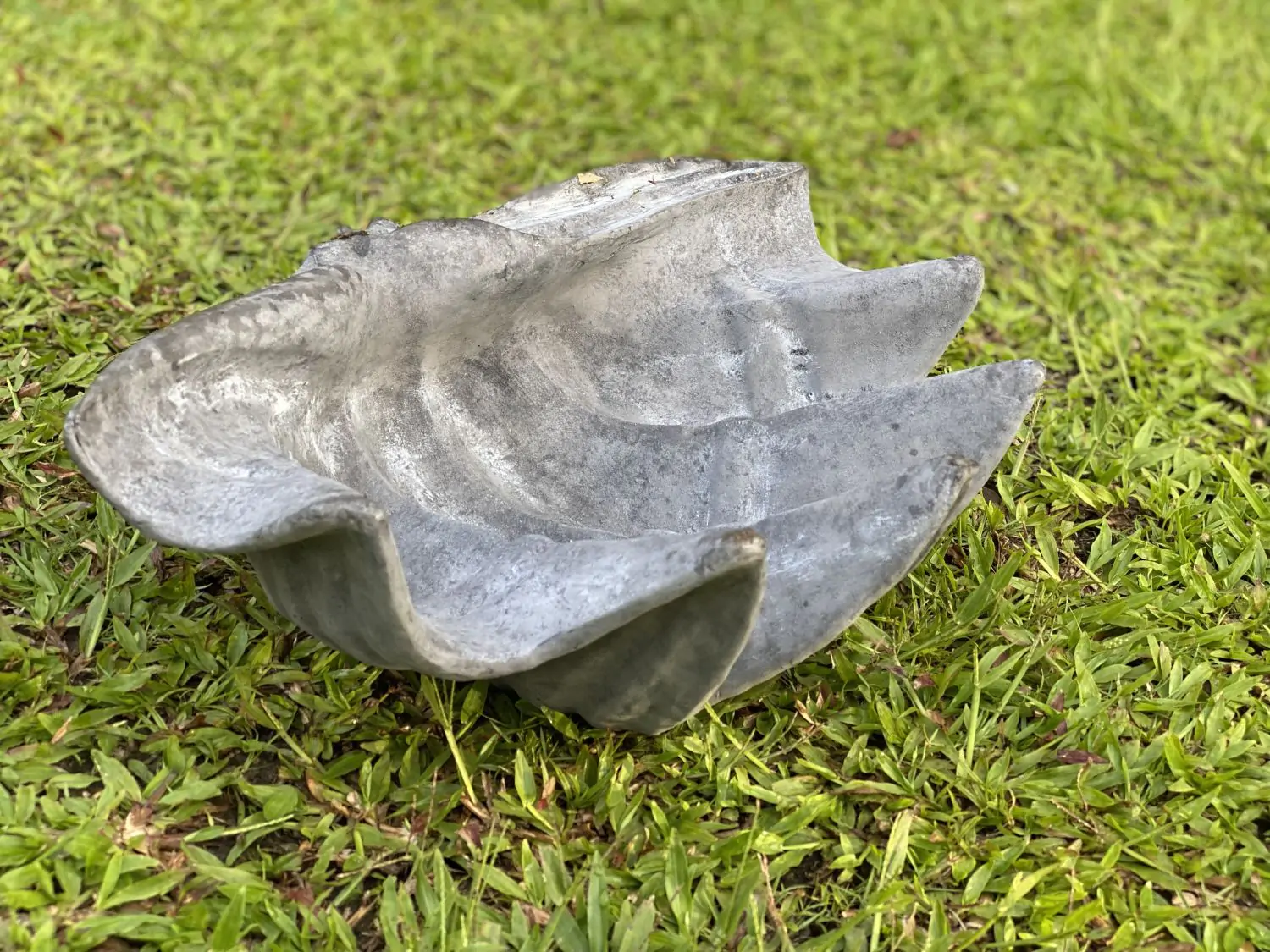  Product image 4 of the product “Marina - Sea shells, 41cm L | cast stone ”
