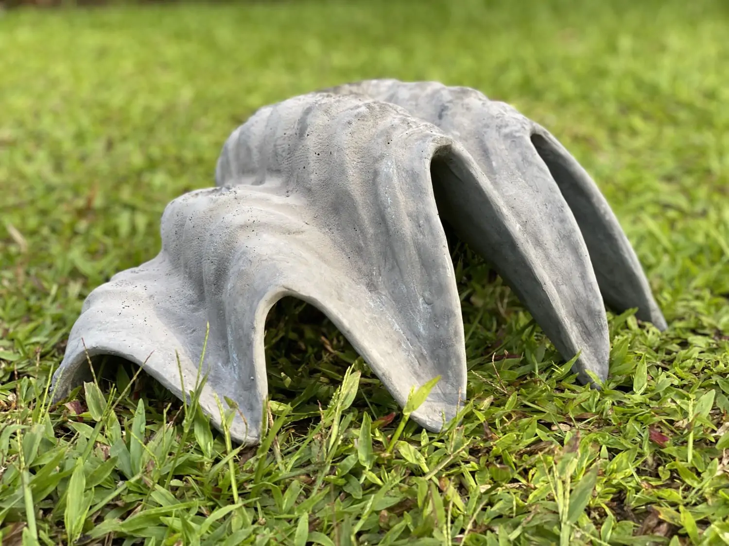  Product image 5 of the product “Marina - Sea shells, 41cm L | cast stone ”