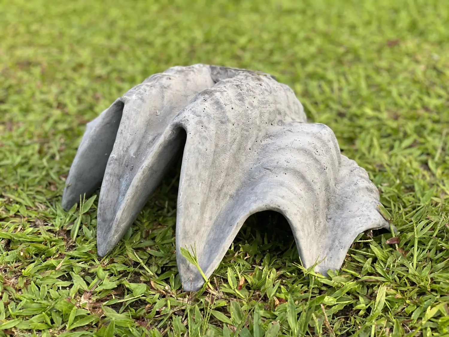  Product image 6 of the product “Marina - Sea shells, 41cm L | cast stone ”